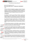 Vista preliminar de documento Resolución Directoral