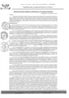 Vista preliminar de documento RGM-452-2021-GM-MPLC