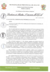 Vista preliminar de documento R.A 166.pdf