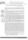 Vista preliminar de documento RGM-463-2021-GM-MPLC