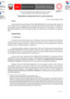 Vista preliminar de documento Resolución