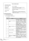Vista preliminar de documento Servicio de asistencia técnica en supervisión de línea de producción en tejido a mano / muestrista.