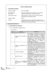 Vista preliminar de documento  Servicio de asistencia técnica en tejido a mano en fibra de camélidos sudamericanos y otras fibras naturales.