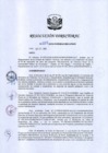 Vista preliminar de documento RD 207-2018