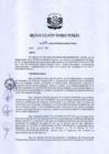 Vista preliminar de documento RD 209-2018