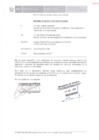 Vista preliminar de documento 2011