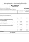 Vista preliminar de documento Anexo