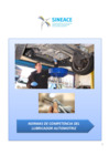 Vista preliminar de documento Anexo-Res.-019-2014-CDAH-P-Perfil-Lubricador-Automotriz20200730-107894-11rlhu.pdf