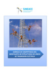 Vista preliminar de documento Anexo-Res.-019-2014-CDAH-P-Perfil-Montajista-de-estructuras-de-línea-de-transmisión-eléctrica.pdf