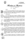 Vista preliminar de documento RP_061_2015_PCD.pdf