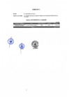 Vista preliminar de documento Anexo 1