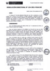 Vista preliminar de documento rd134_2021.pdf