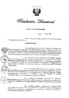 Vista preliminar de documento RD N° 226-2020.pdf