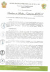 Vista preliminar de documento R.A 333.pdf