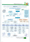 Vista preliminar de documento ORGANIGRAMA.pdf