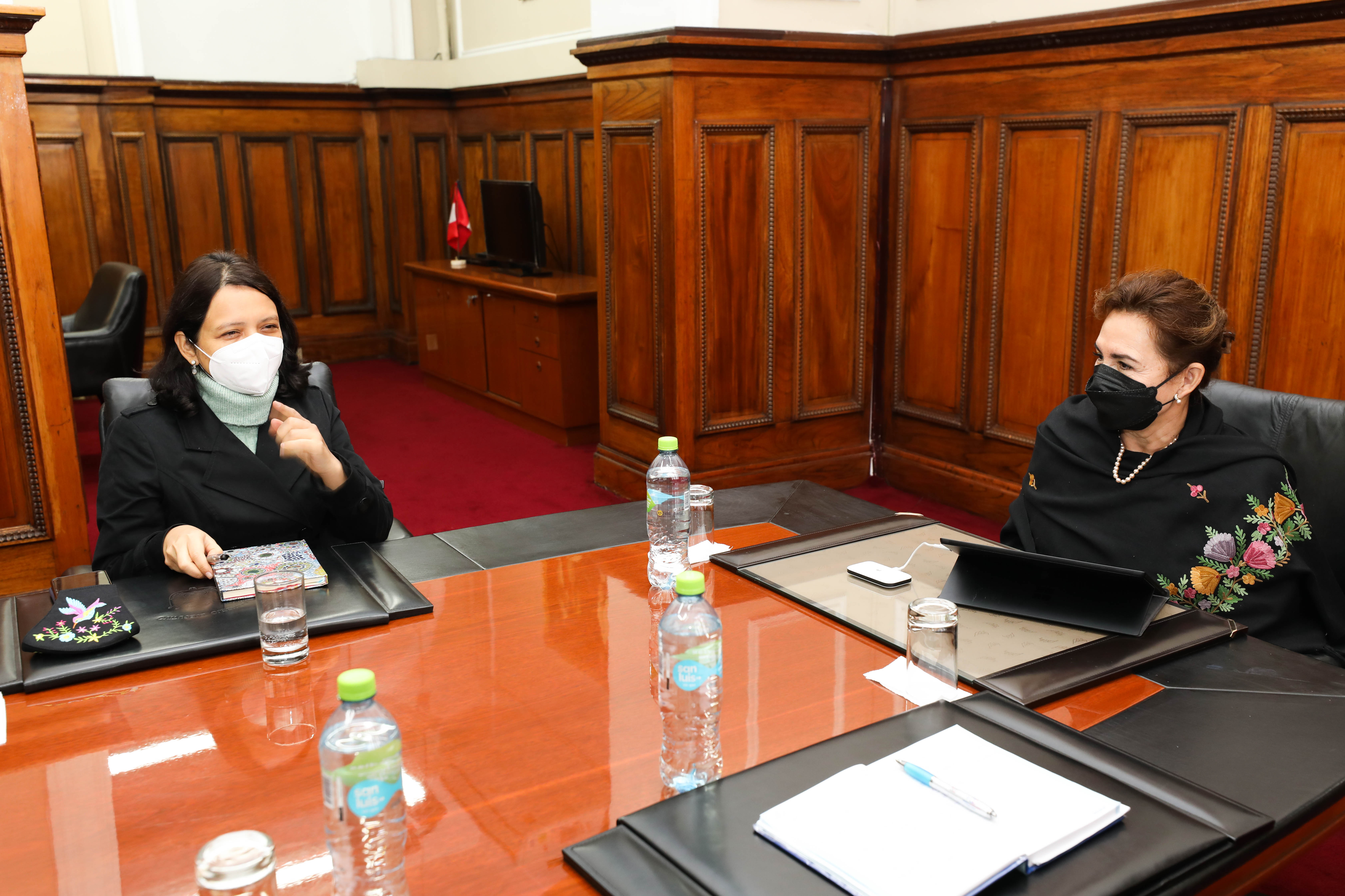 Ministra de la mujer se reunió con la Presidenta del Poder Judicial.