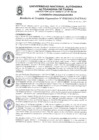 Vista preliminar de documento RESOLUCIÓN DE COMISIÓN ORGANIZADORA N° 0042-2021-CO-UNAAT