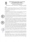 Vista preliminar de documento RESOLUCIÓN DE COMISIÓN ORGANIZADORA N° 0036-2021-CO-UNAAT