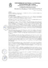 Vista preliminar de documento RESOLUCIÓN DE PRESIDENCIA N° 0027-2020-P-CO-UNAAT
