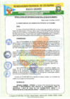 Vista preliminar de documento RGM 08-2019-MPU.pdf