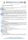 Vista preliminar de documento RESOLUCIONALCALDIA-33-2019.pdf