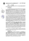 Vista preliminar de documento RESOLUCION DE GERENCIA N° 295-2021-MPCP-GM