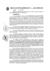 Vista preliminar de documento RESOLUCION DE GERENCIA N° 392-2021-MPCP-GM