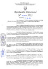 Vista preliminar de documento RD N°0292 - 2021.pdf