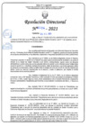 Vista preliminar de documento RD N°0294 - 2021.pdf