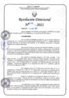 Vista preliminar de documento RD N°0295 - 2021.pdf