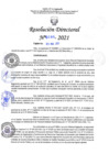 Vista preliminar de documento RD N°0296 - 2021.pdf