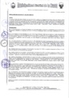 Vista preliminar de documento RESOLUCIONALCALDIA-103-2019.pdf
