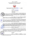 Vista preliminar de documento RD N°0313-2021.pdf