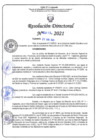 Vista preliminar de documento RD N°0315-2021.pdf