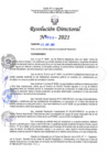 Vista preliminar de documento RD N°0321-2021.pdf