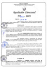 Vista preliminar de documento RD N°0324-2021.pdf