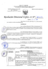 Vista preliminar de documento RD N°0333-2021.pdf