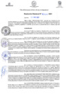 Vista preliminar de documento RD N°0335-2021.pdf