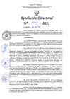 Vista preliminar de documento RD N°0357-2021.pdf