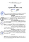 Vista preliminar de documento RD N°0376-2021.pdf