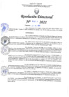 Vista preliminar de documento RD N°0377-2021.pdf