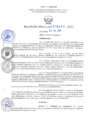 Vista preliminar de documento RD N°0378-2021.pdf