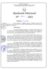 Vista preliminar de documento RD N°0383-2021.pdf
