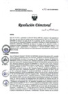 Vista preliminar de documento Resolución Directoral Nº 193-2021-DG-INMP/MINSA