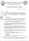 Vista preliminar de documento 1110.pdf