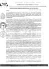 Vista preliminar de documento RGM-480-2021-GM-MPLC