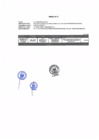 Vista preliminar de documento Anexo 2