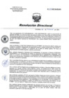 Vista preliminar de documento RD 039-2021-SA-DG-INR.pdf