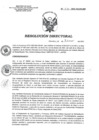 Vista preliminar de documento RD 041-2021-SA-DG-INR.pdf