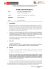 Vista preliminar de documento IF-029-2021